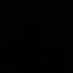 Meet your Posher, Lorrina